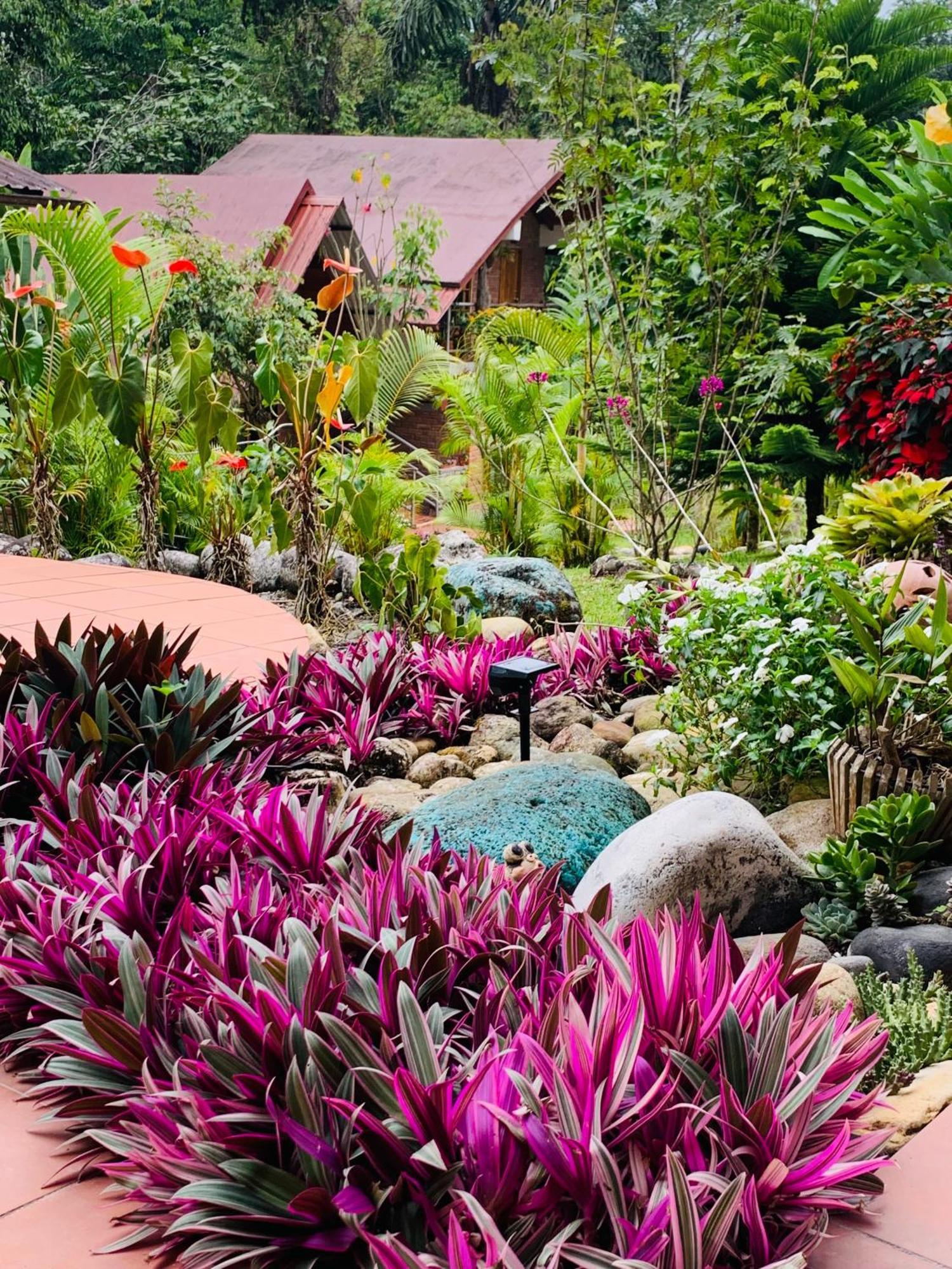 La Casa Del Rio B&B Puyo Exterior foto